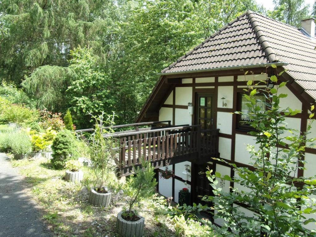 Ferienwohnung Hartmann Frankenau Exterior foto