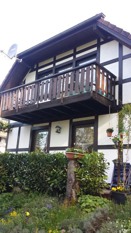 Ferienwohnung Hartmann Frankenau Exterior foto