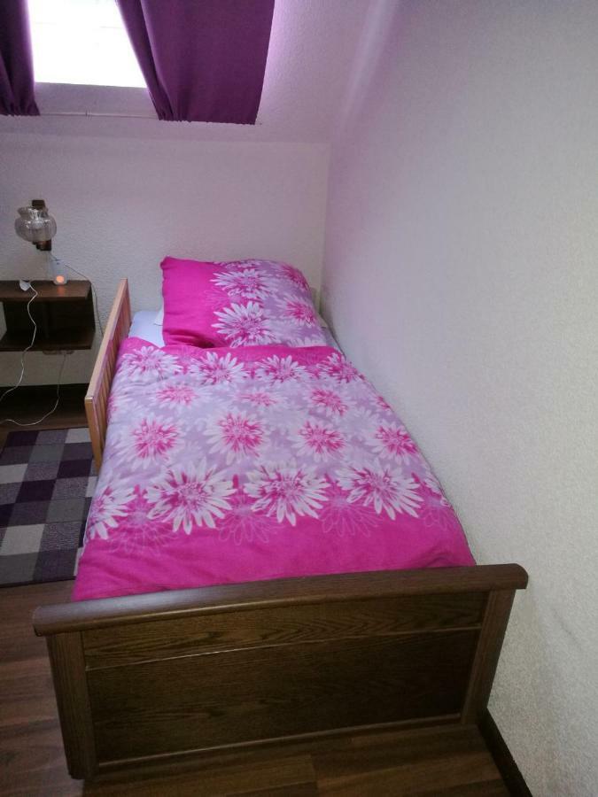Ferienwohnung Hartmann Frankenau Exterior foto